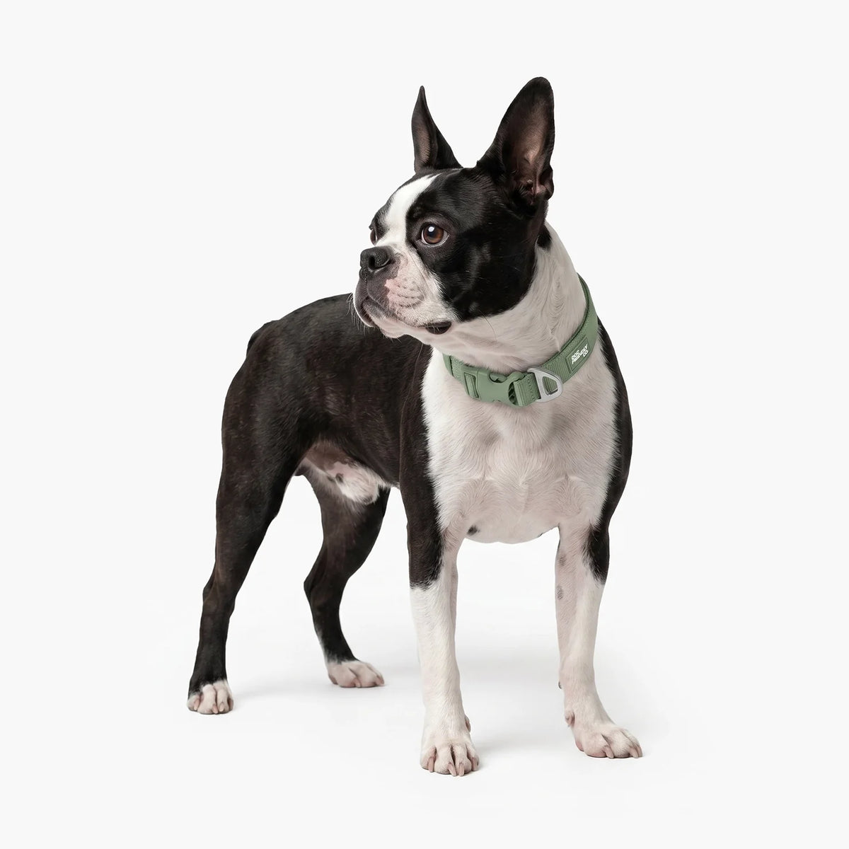 Essentials Collar - Khaki