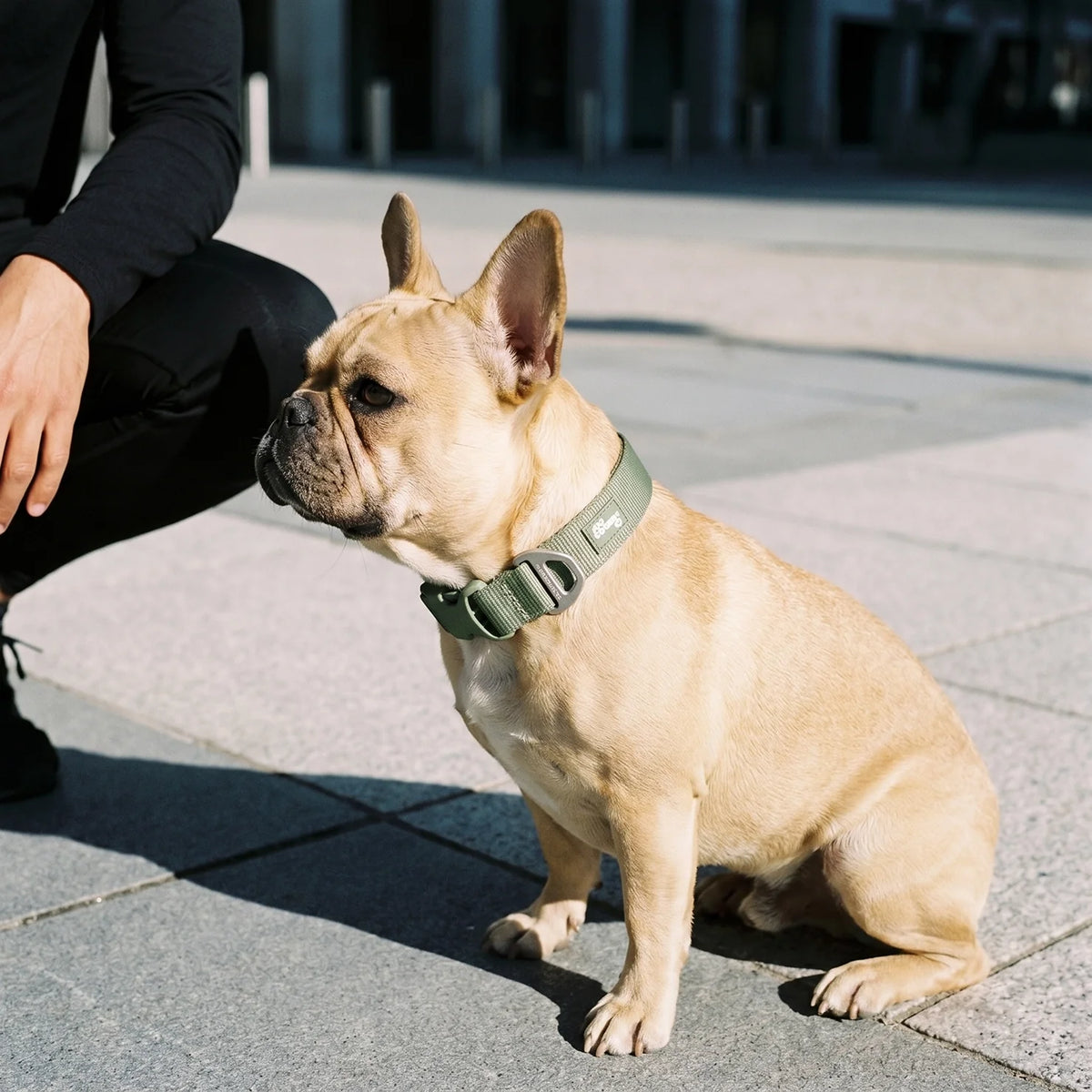 Essentials Collar - Khaki