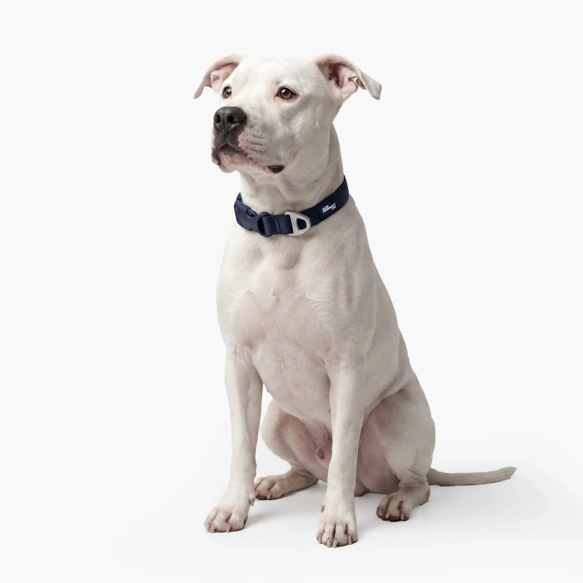 Essentials Collar - Navy Blue