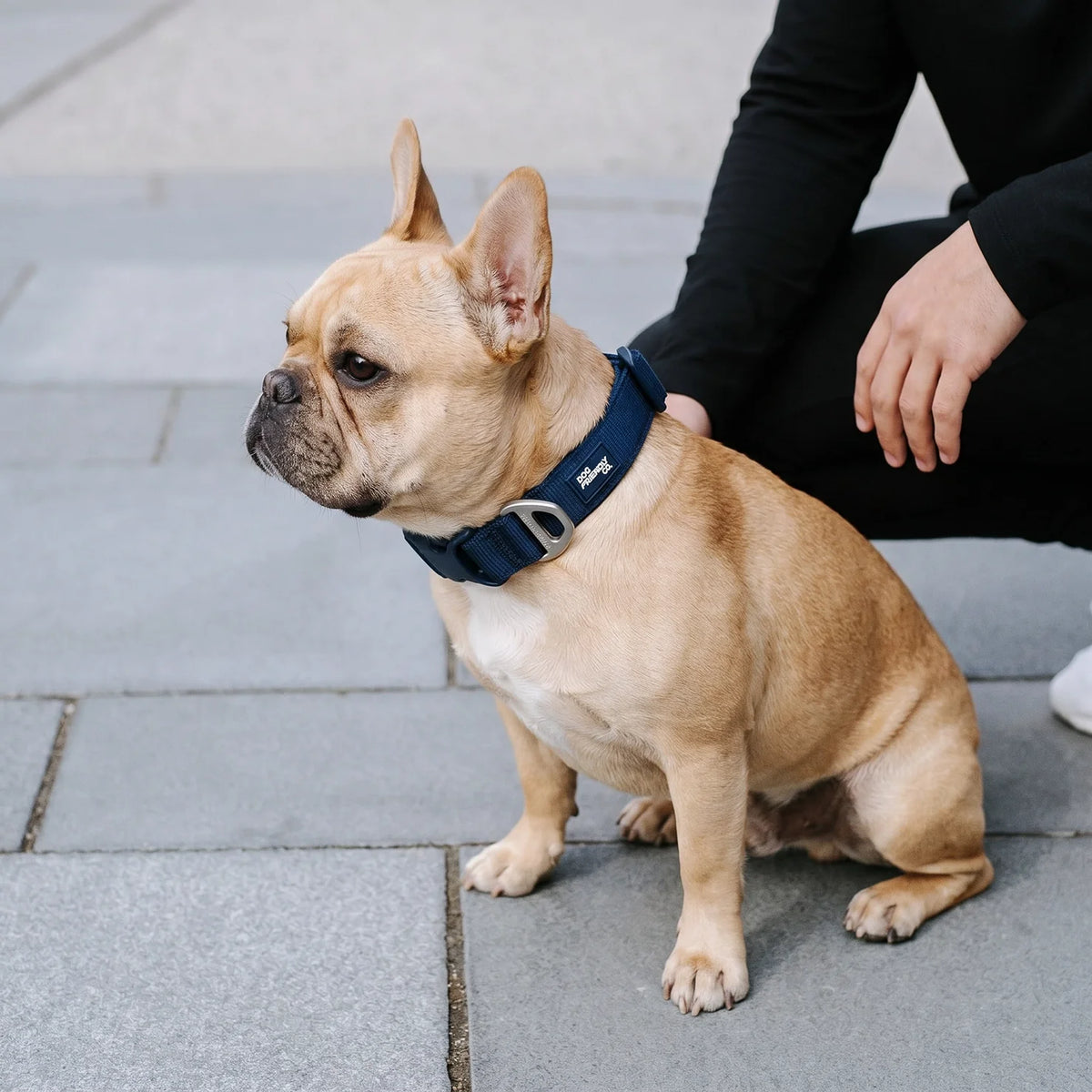 Essentials Collar - Navy Blue