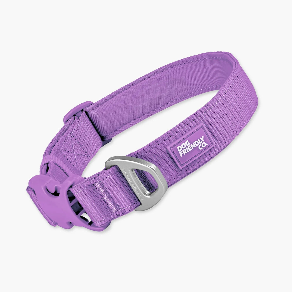 Essentials Collar - Purple