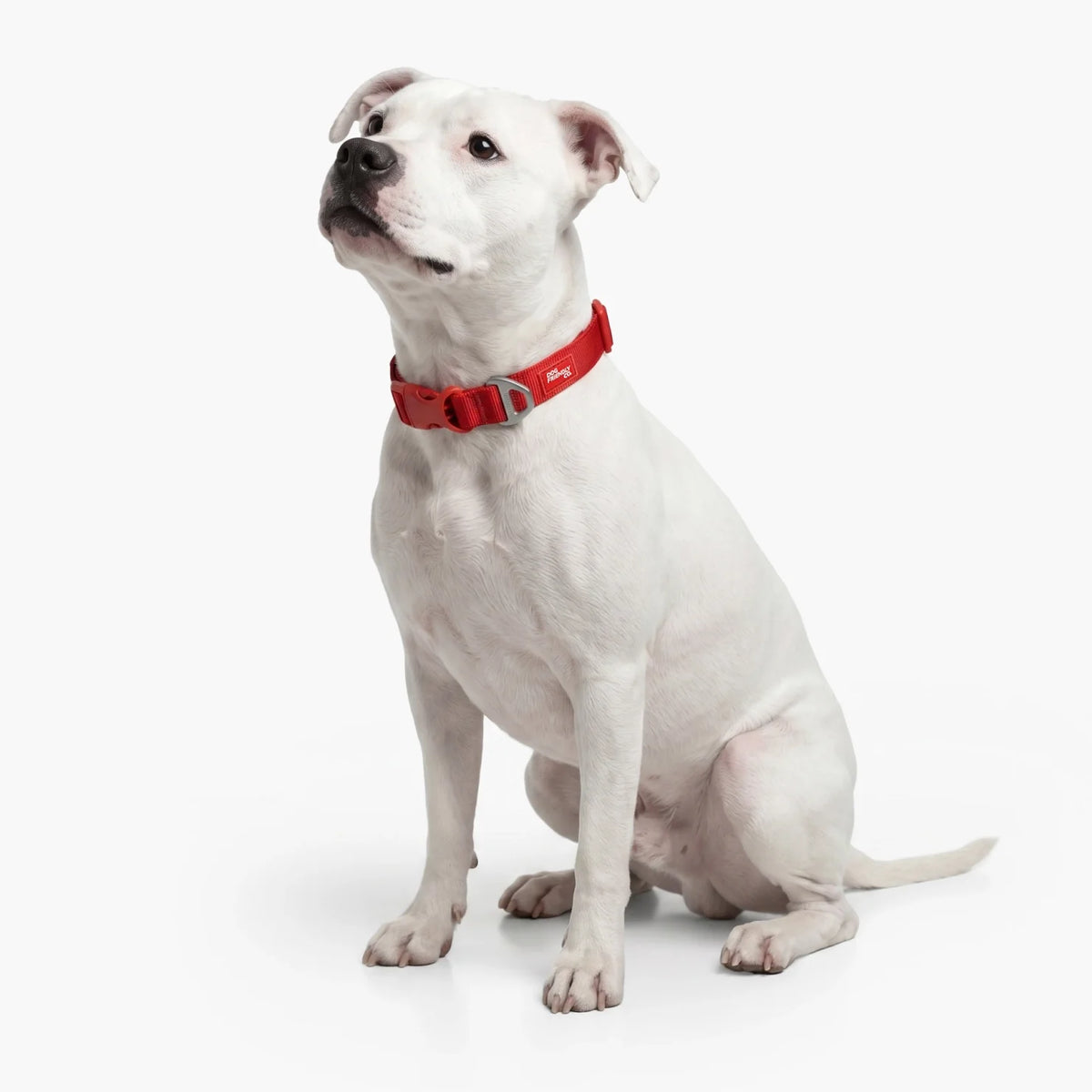 Essentials Collar - Red