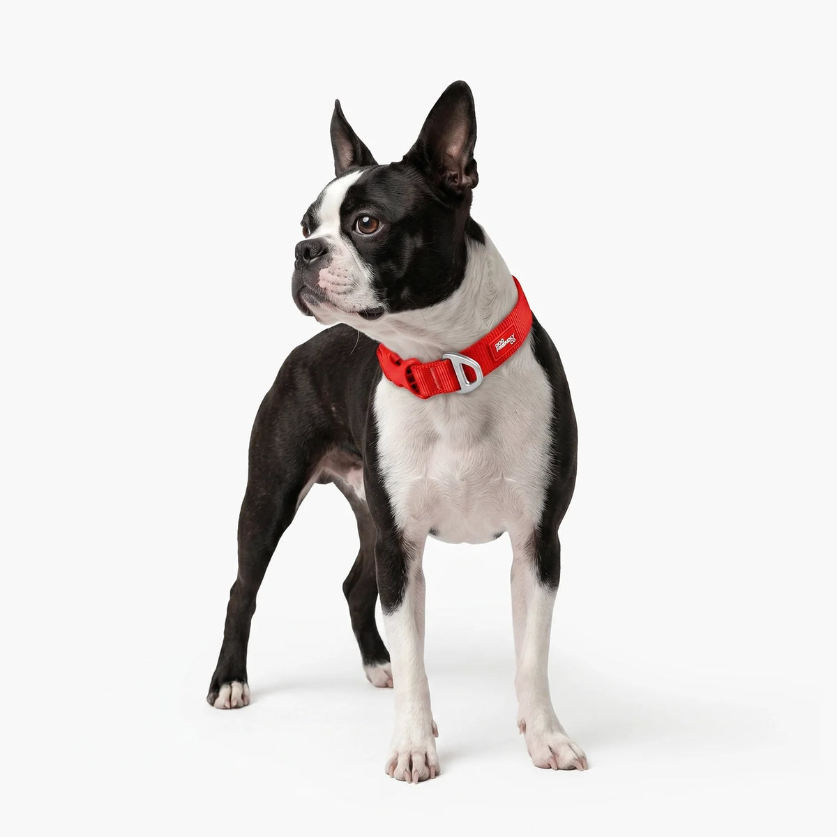 Essentials Collar - Red