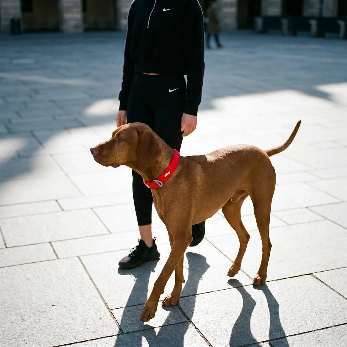 Essentials Collar - Red