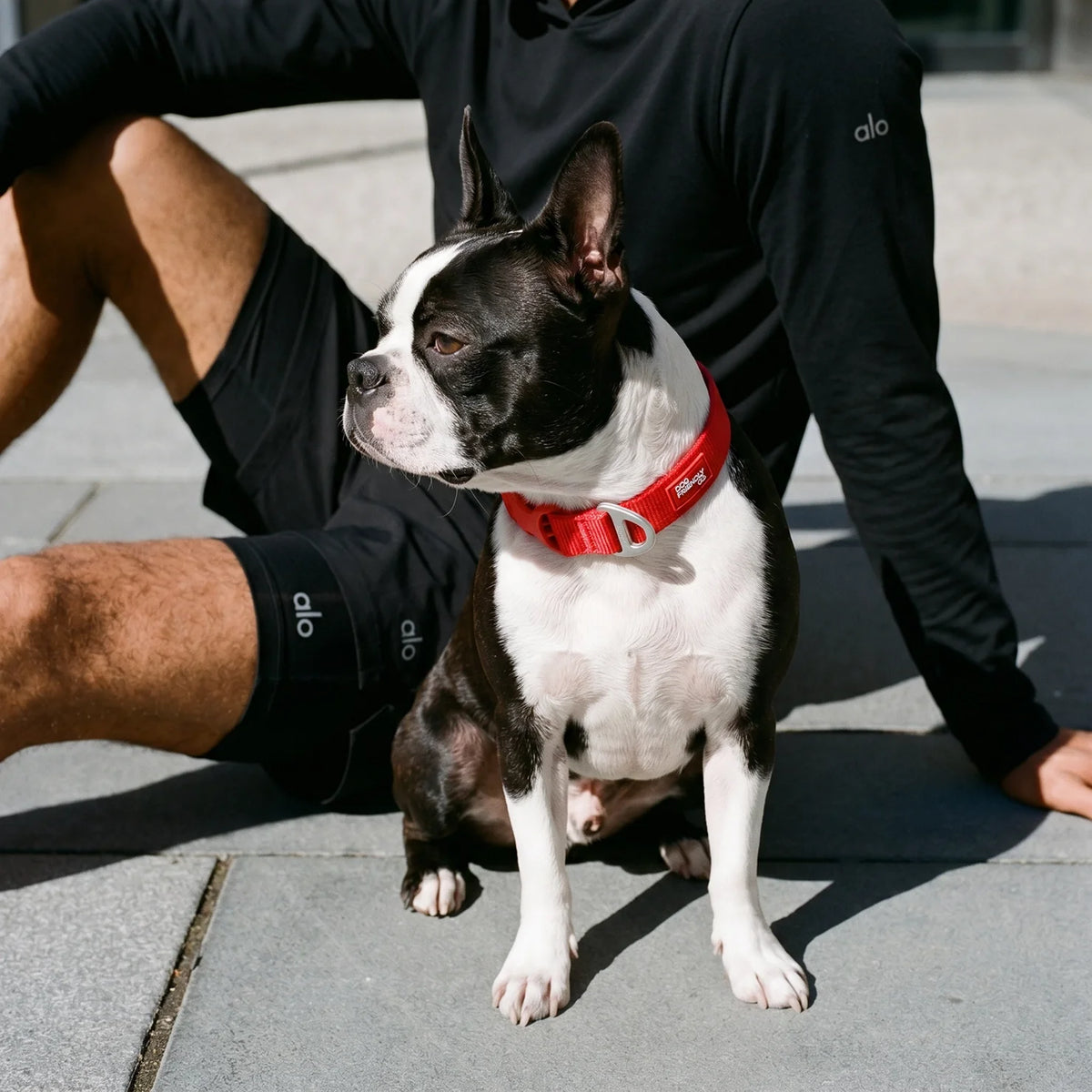 Essentials Collar - Red