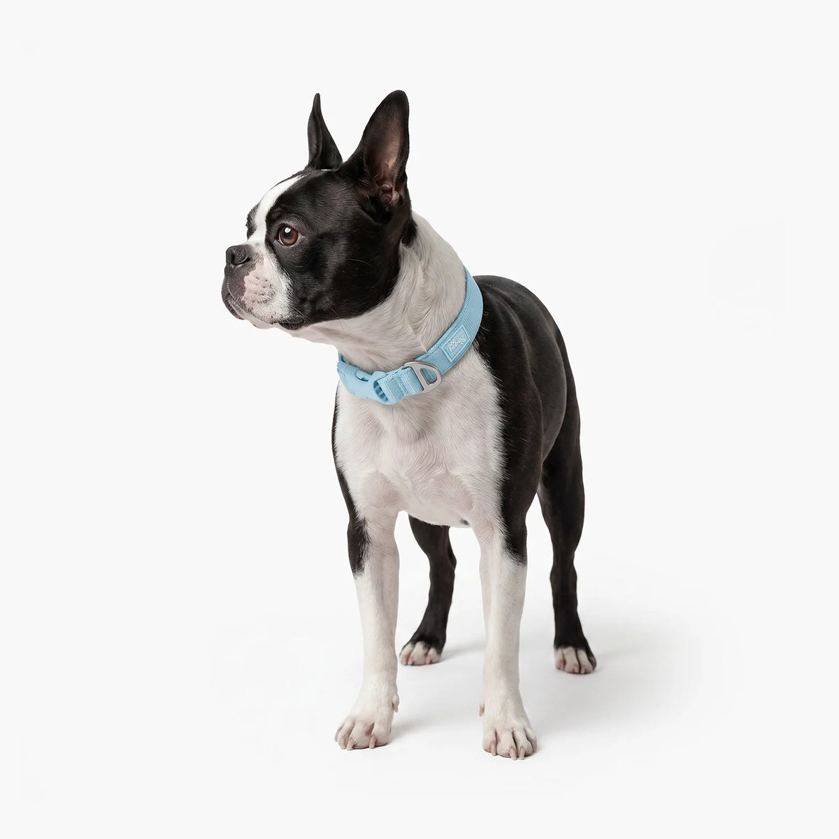 Essentials Collar - Sky Blue