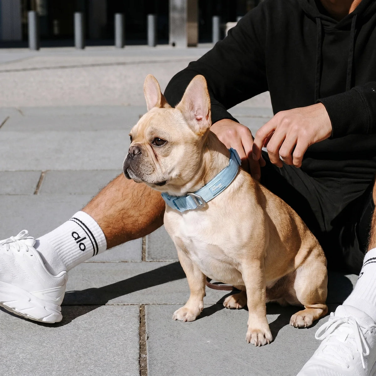 Essentials Collar - Sky Blue