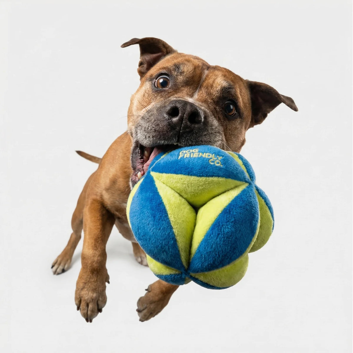 Geo Ball