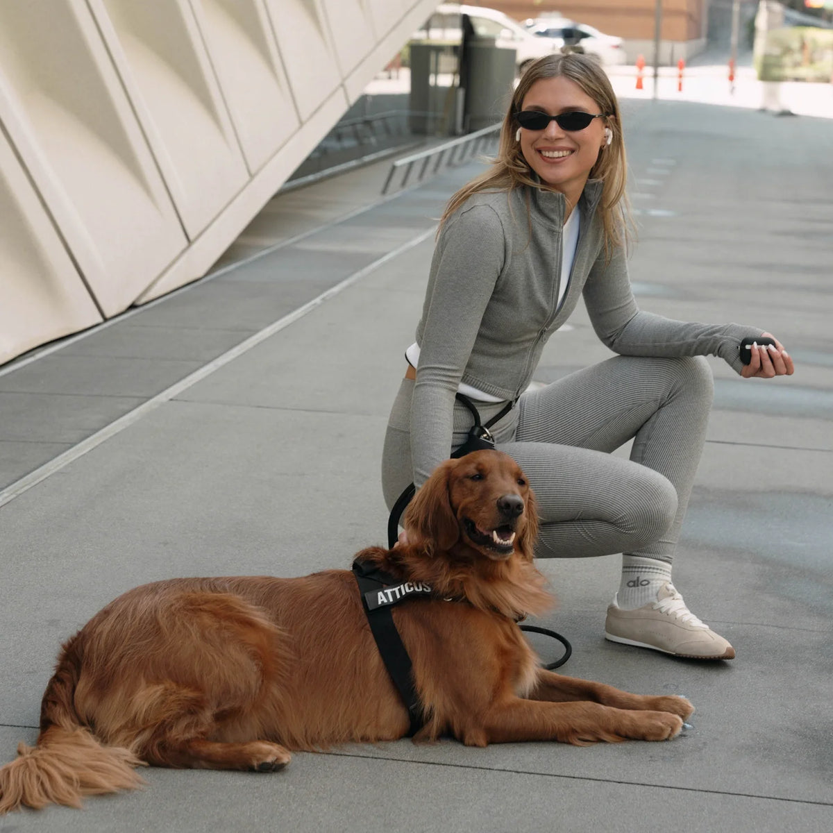 Hands Free Leash - Black