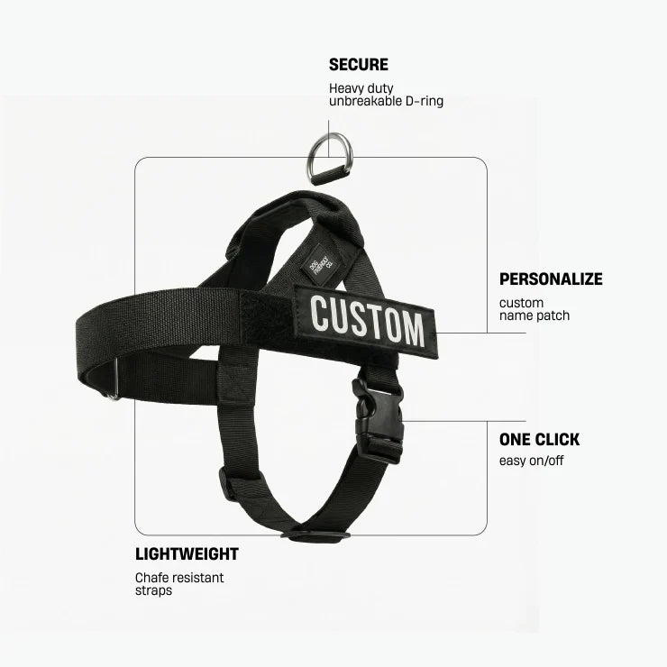 Personalised Dog Harness - Black