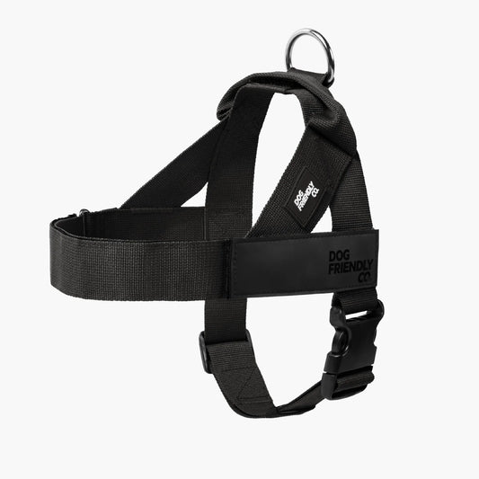 Black Personalised dog harness with adjustable straps, grab handle and back D-ring leash attachment, with custom name patch, and easy one click buckle.