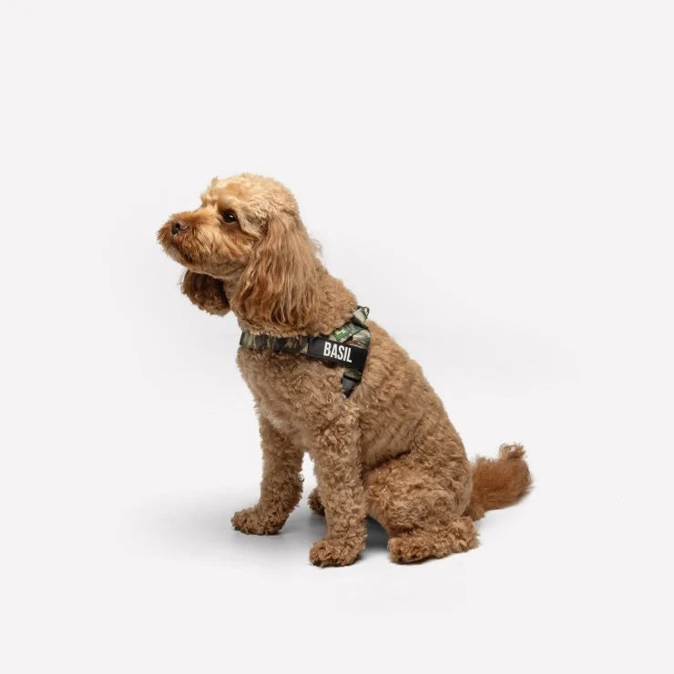 Personalised Dog Harness - Green Camo
