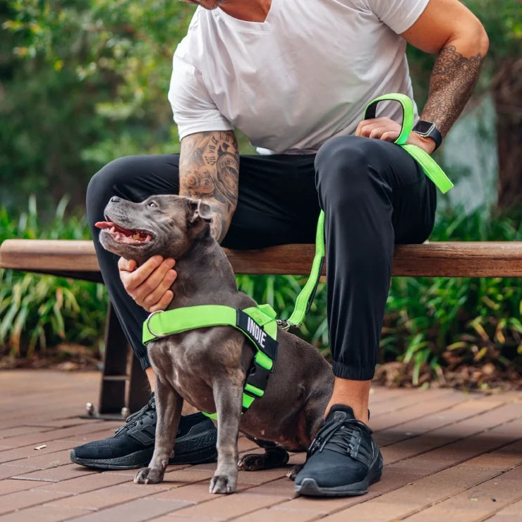 Personalised Dog Harness - Neon Green