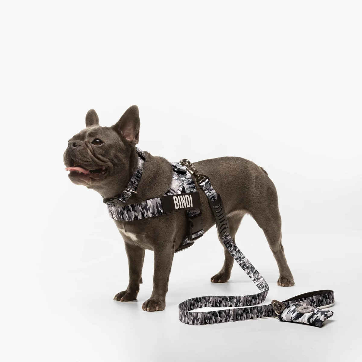 Dog wearing a Grey Camo personalised harness with Grey Camo Tactical Collar, Grey Camo Classic Leash, and Grey Camo Poo Bag Holder shown from the side.