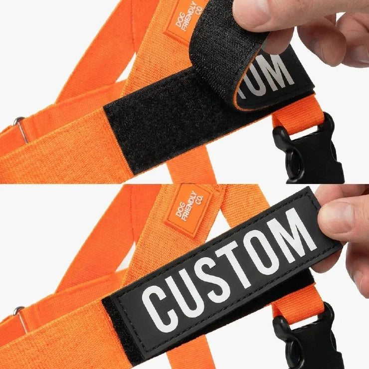 Personalised Dog Harness - Hi-vis Orange