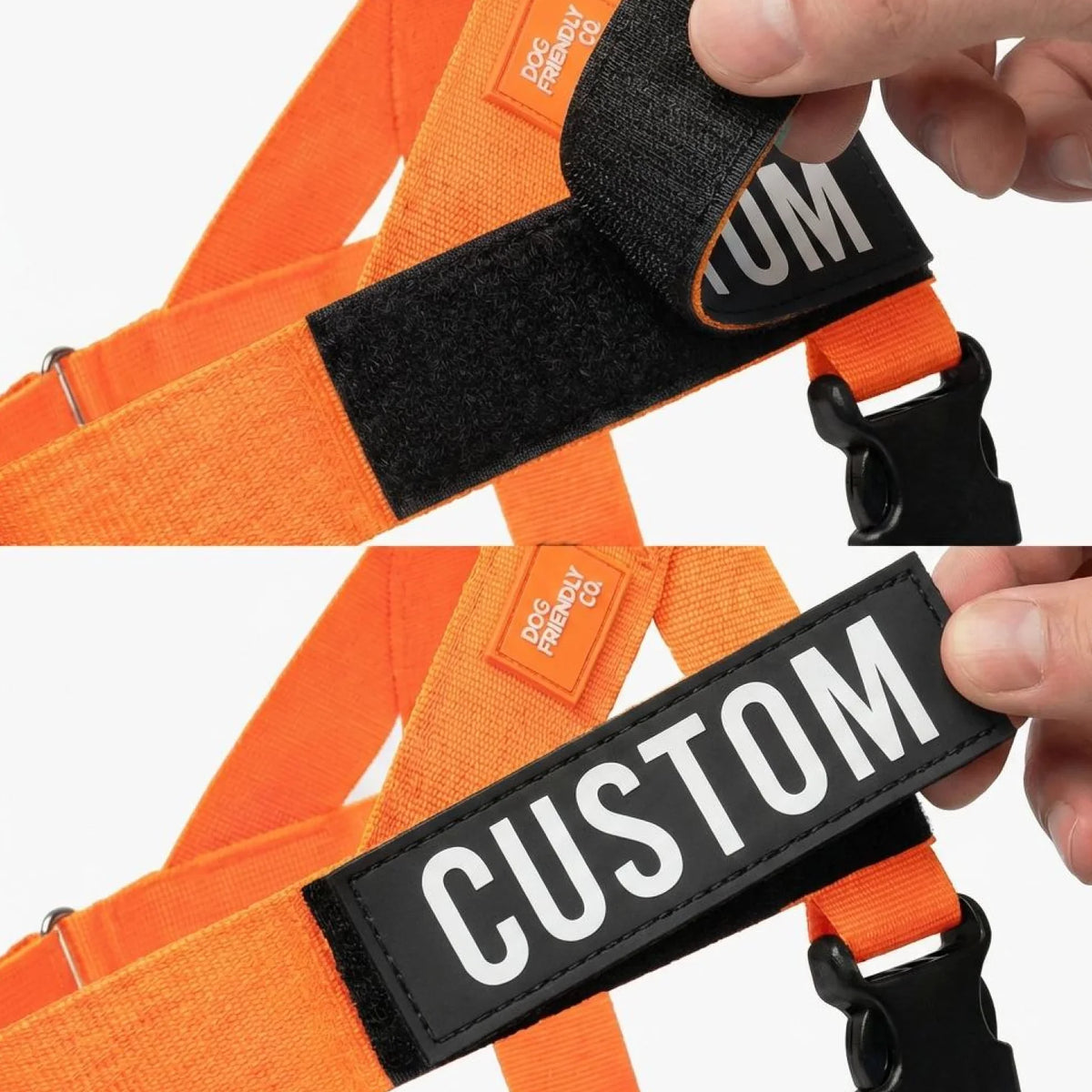 Hi-Vis Orange Dog harness with a personalised name patch.
