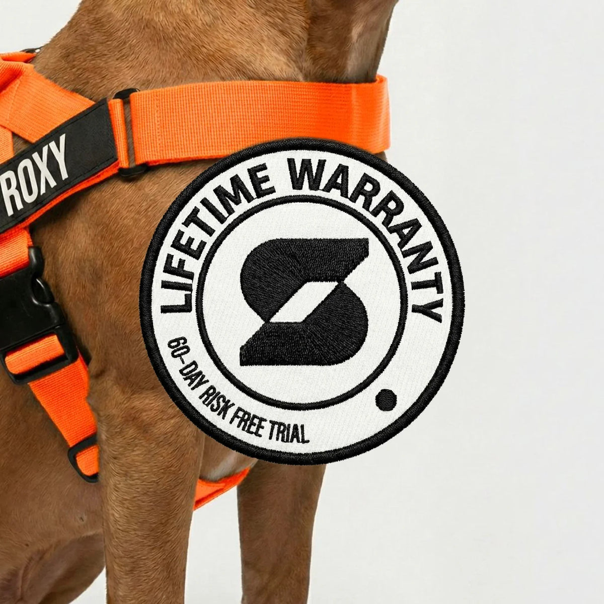 Personalised Dog Harness - Hi-vis Orange