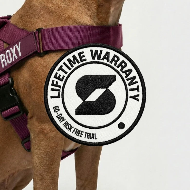 Personalised Dog Harness - Burgundy