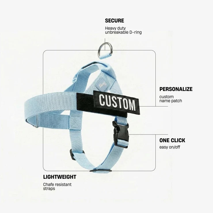 Personalised Dog Harness - Sky Blue