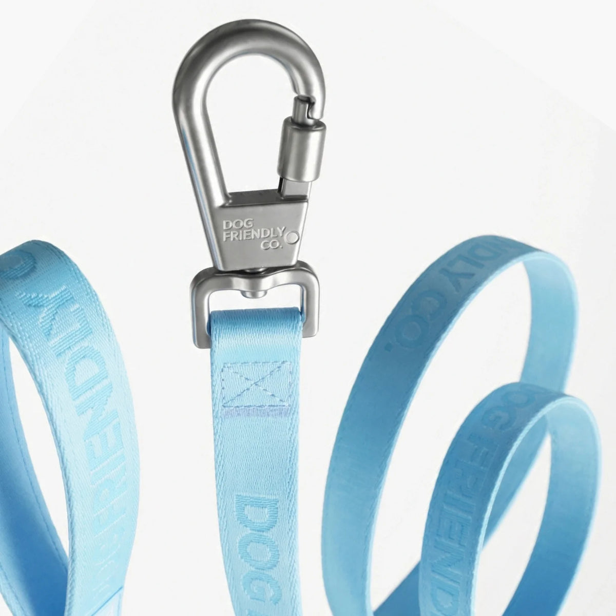 Long Dog Leash - Sky Blue