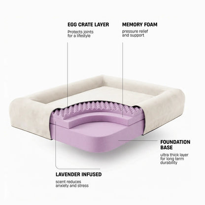 Premium Orthopedic Memory Foam Dog Bed - Beige
