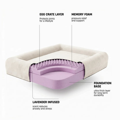 Premium Orthopedic Memory Foam Dog Bed - Beige (Large) (LP)