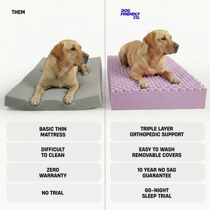 Premium Orthopedic Memory Foam Dog Bed - Beige (Large) (LP)