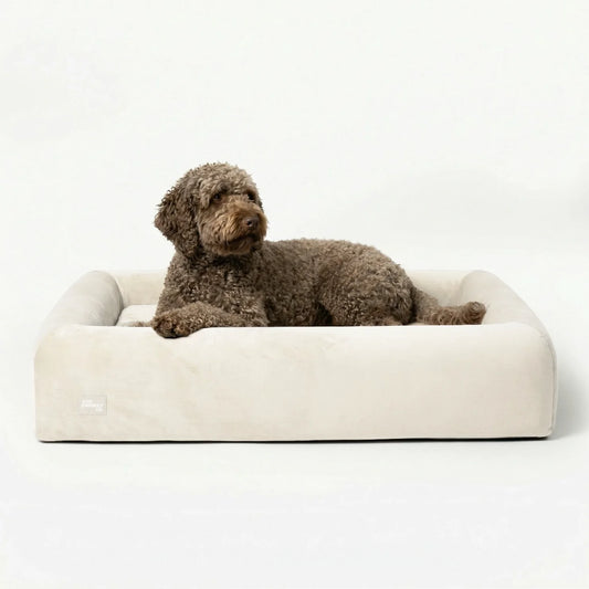 Premium Orthopedic Memory Foam Dog Bed - Beige (Small) (LP)