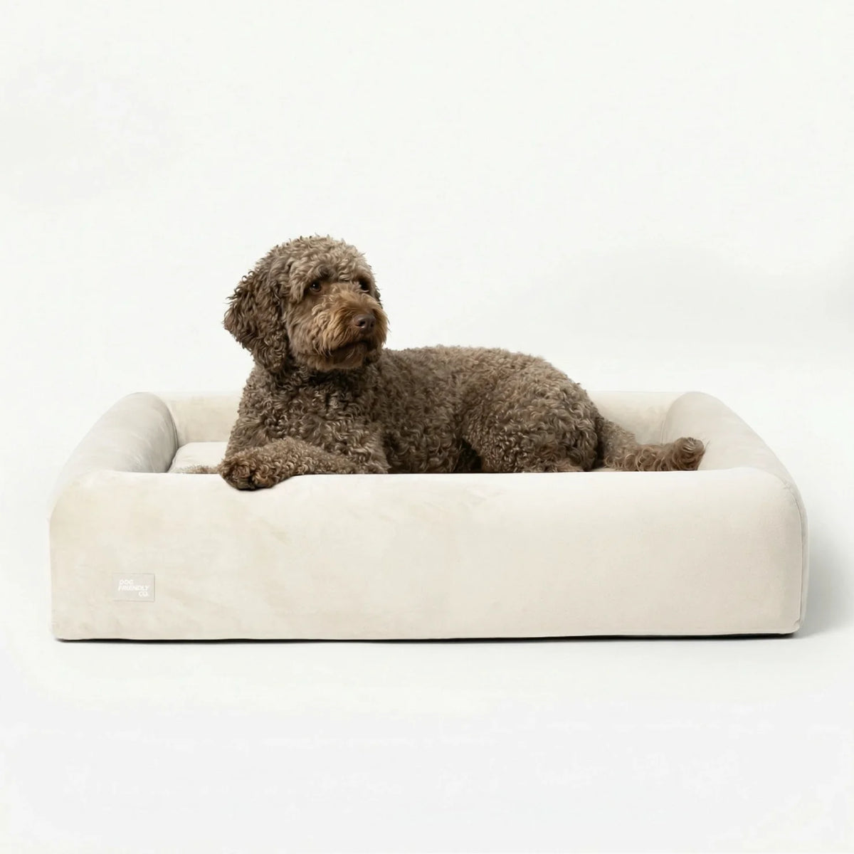 Premium Orthopedic Memory Foam Dog Bed - Beige (Large) (LP)