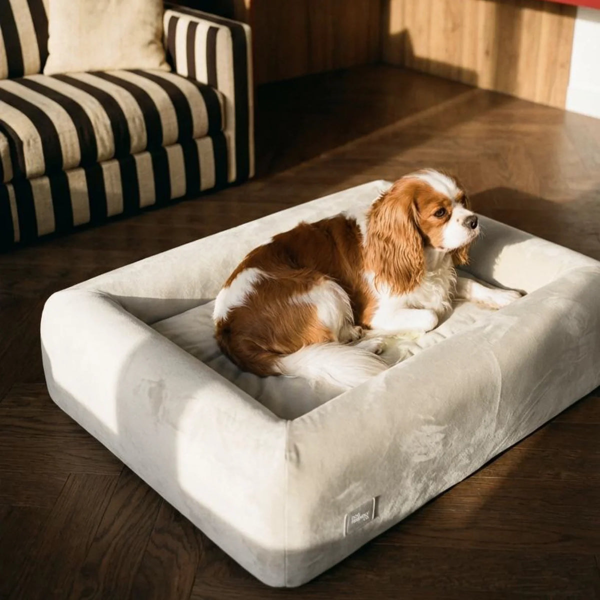 Premium Orthopedic Memory Foam Dog Bed - Beige (Large) (LP)