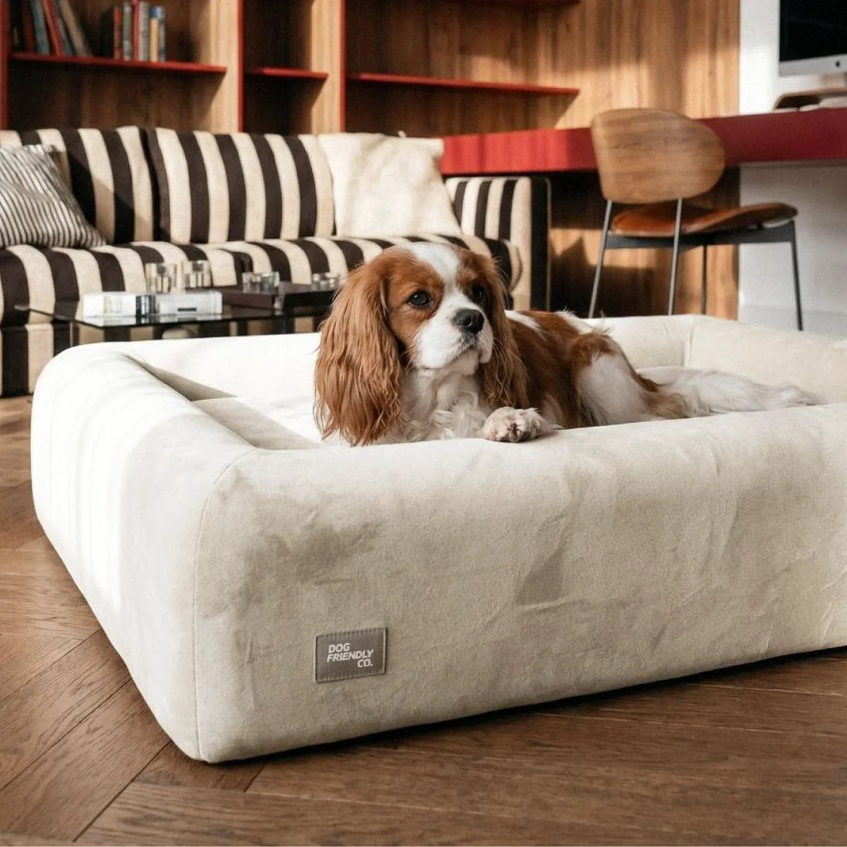 Premium Orthopedic Memory Foam Dog Bed - Beige (Large) (LP)