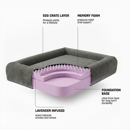 Premium Orthopedic Memory Foam Dog Bed - Charcoal (Medium) (LP)
