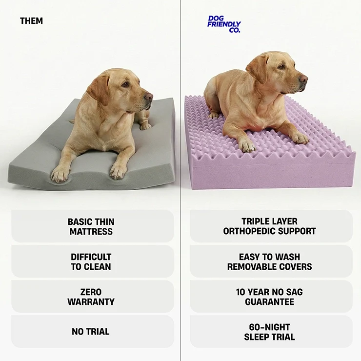 Premium Orthopedic Memory Foam Dog Bed - Charcoal (Medium) (LP)