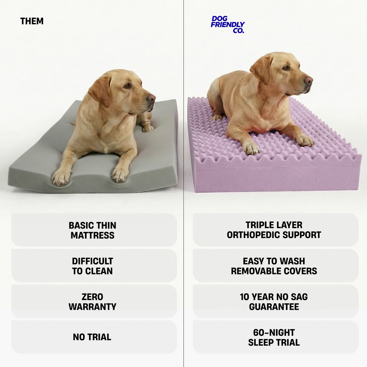 Premium Orthopedic Memory Foam Dog Bed - Charcoal