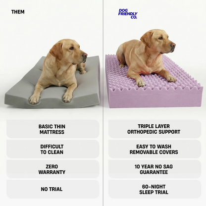Premium Orthopedic Memory Foam Dog Bed - Charcoal