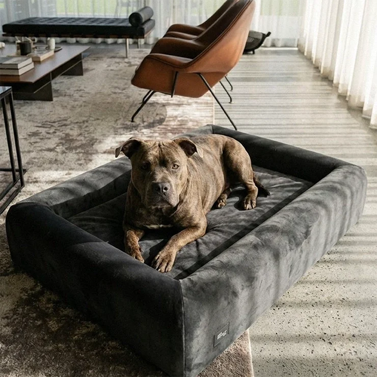 Premium Orthopedic Memory Foam Dog Bed - Charcoal (Medium) (LP)
