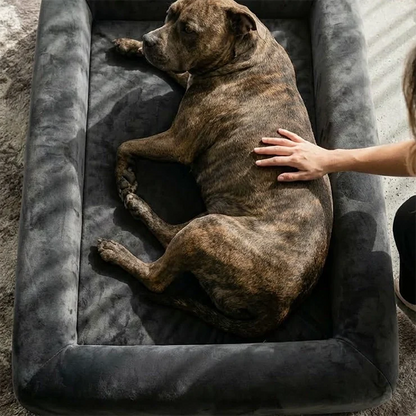 Premium Orthopedic Memory Foam Dog Bed - Charcoal (Medium) (LP)