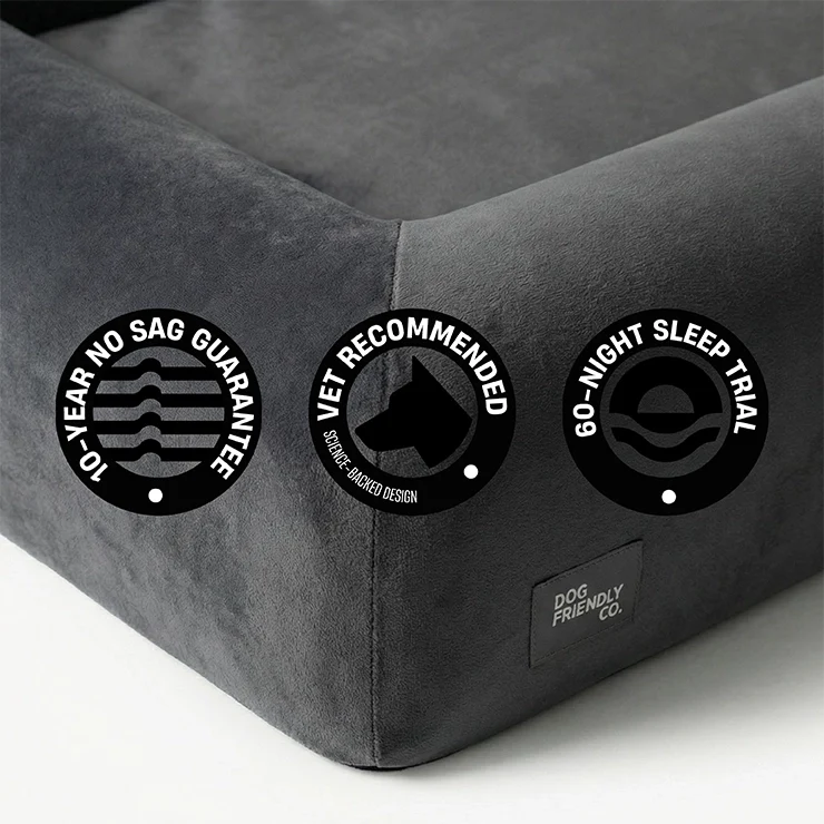 Premium Orthopedic Memory Foam Dog Bed - Charcoal (Medium) (LP)