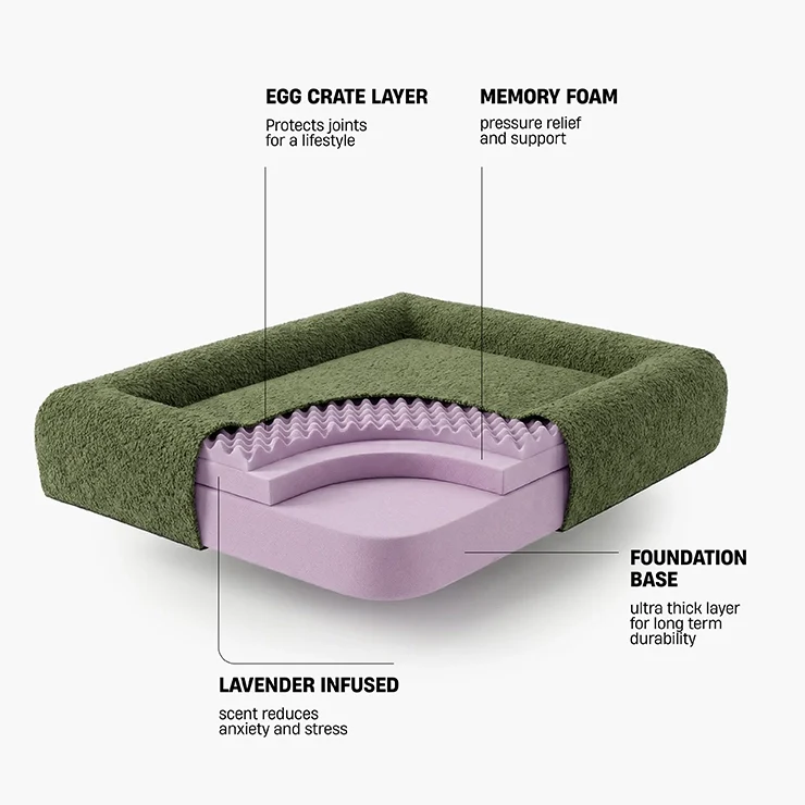 Premium Orthopedic Memory Foam Dog Bed - Green Bouclé (Large) (LP)