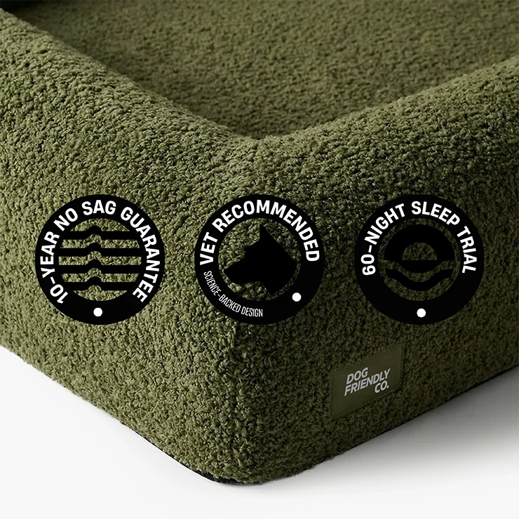 Premium Orthopedic Memory Foam Dog Bed - Green Bouclé (Large) (LP)