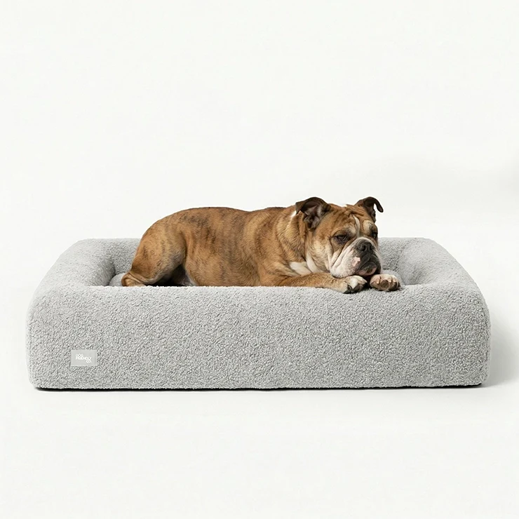 Premium Orthopedic Memory Foam Dog Bed - Grey Bouclé (Small) (LP)