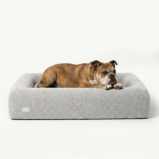 Premium Orthopedic Memory Foam Dog Bed - Grey Bouclé (Medium) (LP)