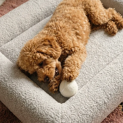 Premium Orthopedic Memory Foam Dog Bed - Grey Bouclé (Small) (LP)