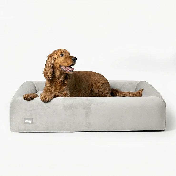 Premium Orthopedic Memory Foam Dog Bed - Grey (Large) (LP)