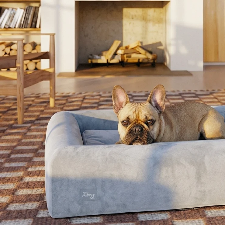 Premium Orthopedic Memory Foam Dog Bed - Grey (Large) (LP)