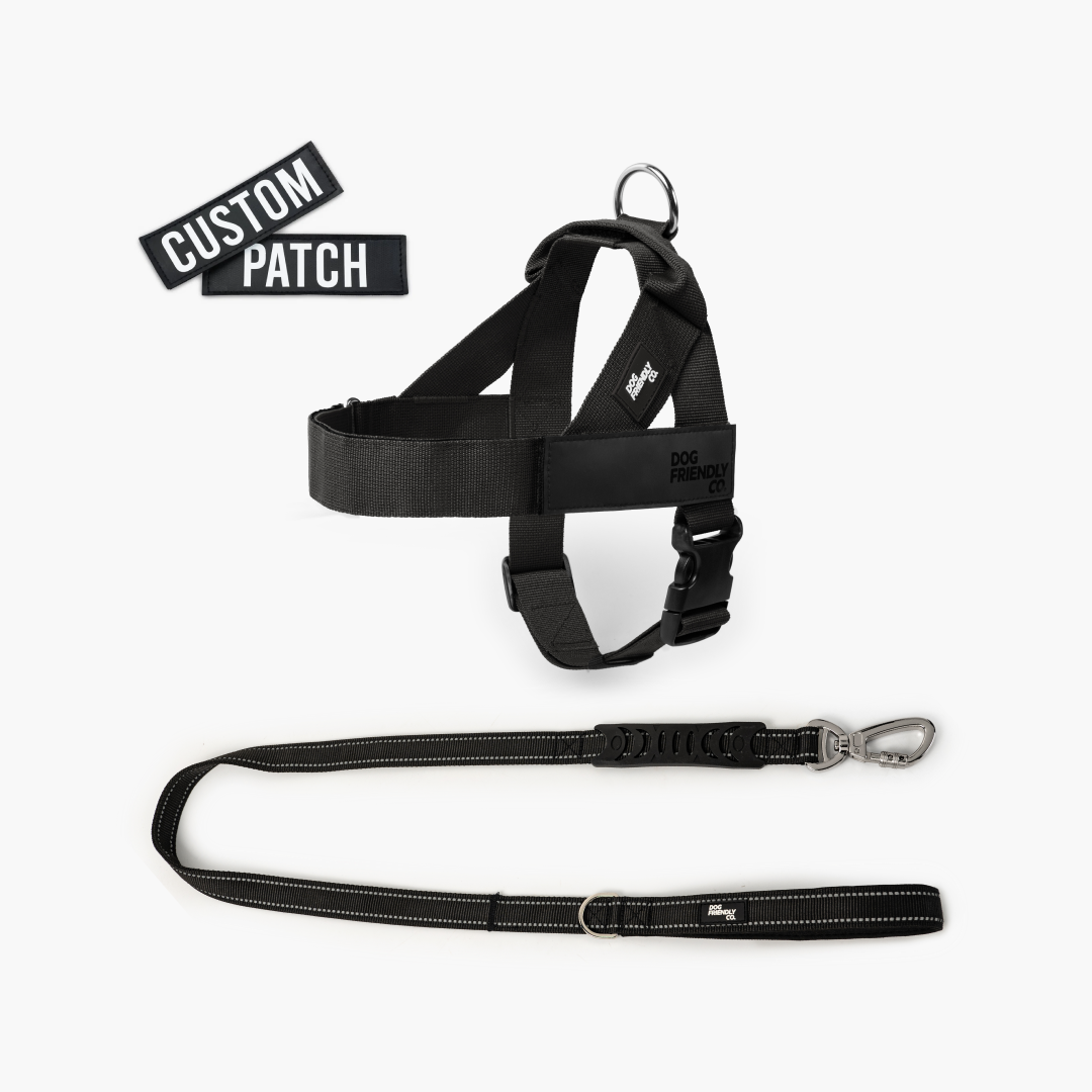 Signature Kit - Black - FREE D-Ring