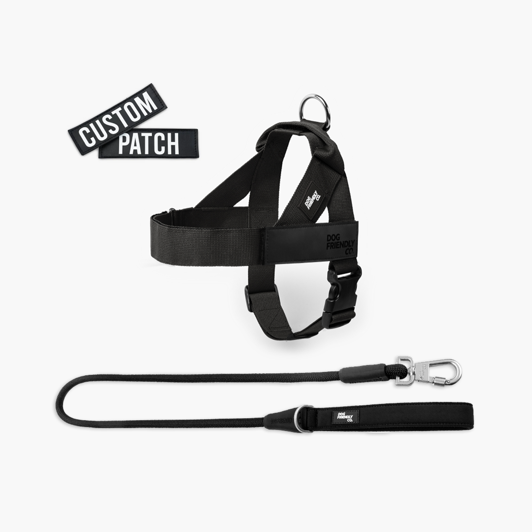 Signature Kit - Black - FREE D-Ring