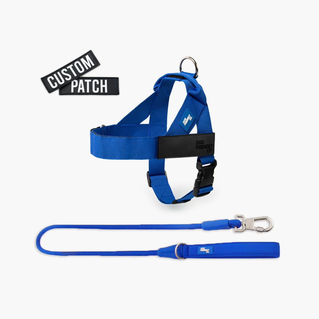 Signature Kit - Classic Blue - FREE D-Ring