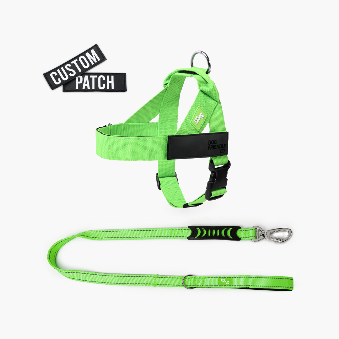 Signature Kit - Neon Green - FREE D-Ring