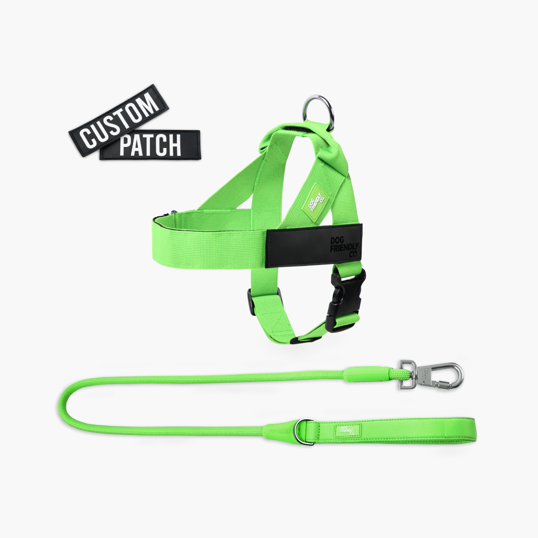 Signature Kit - Neon Green - FREE D-Ring